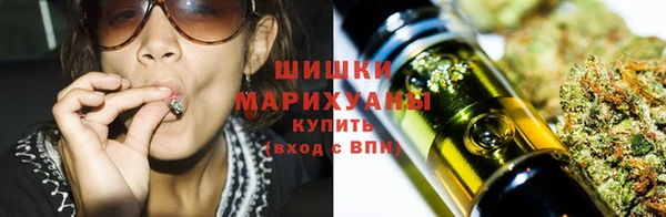 крисы Баксан