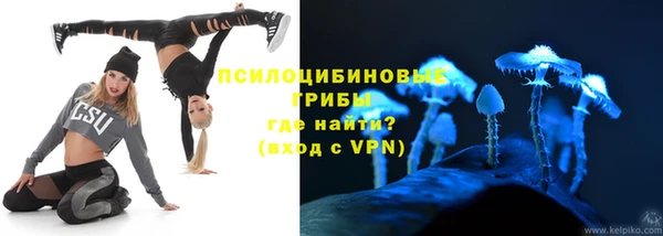 крисы Баксан