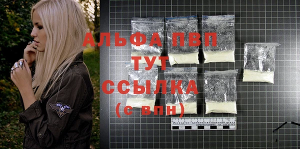 крисы Баксан