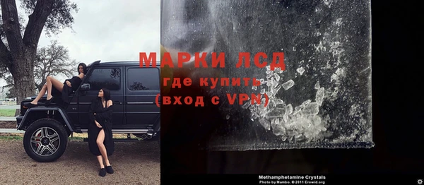 крисы Баксан
