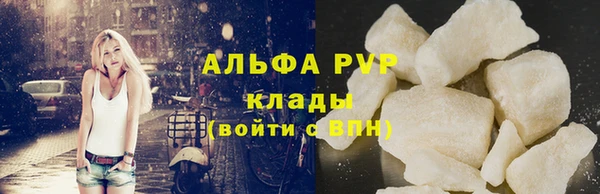 крисы Баксан
