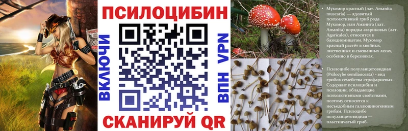 Галлюциногенные грибы Psilocybine cubensis  где продают   Изобильный 